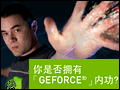 GEFORCE�ڹ� ��������